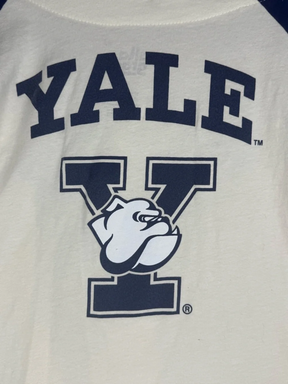 Yale Cropped Baseball Tee M Ivy League Preppy Varsity Graphic Top - Picture 4 of 10